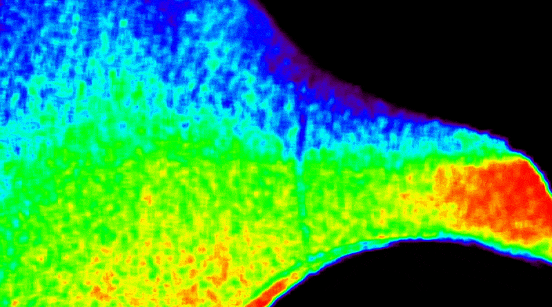 The lower right corner of this image is a black arc, which is a portion of the Sun with its light blocked. A thin blue line marks the edge of the arc, and above it is a swath of light green interspersed with red and yellow blotches. The green and yellow extend up and down into a band of blue above, marked at the top by a thin purple line.