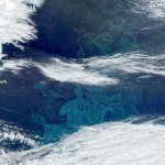 Teal-colored phytoplankton bloom off the Greenland coast in this satellite image