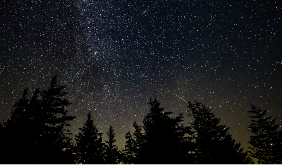 A thin streak of green and pink light amid a night sky full of stars. The tops of trees can be seen along the bottom of the image.