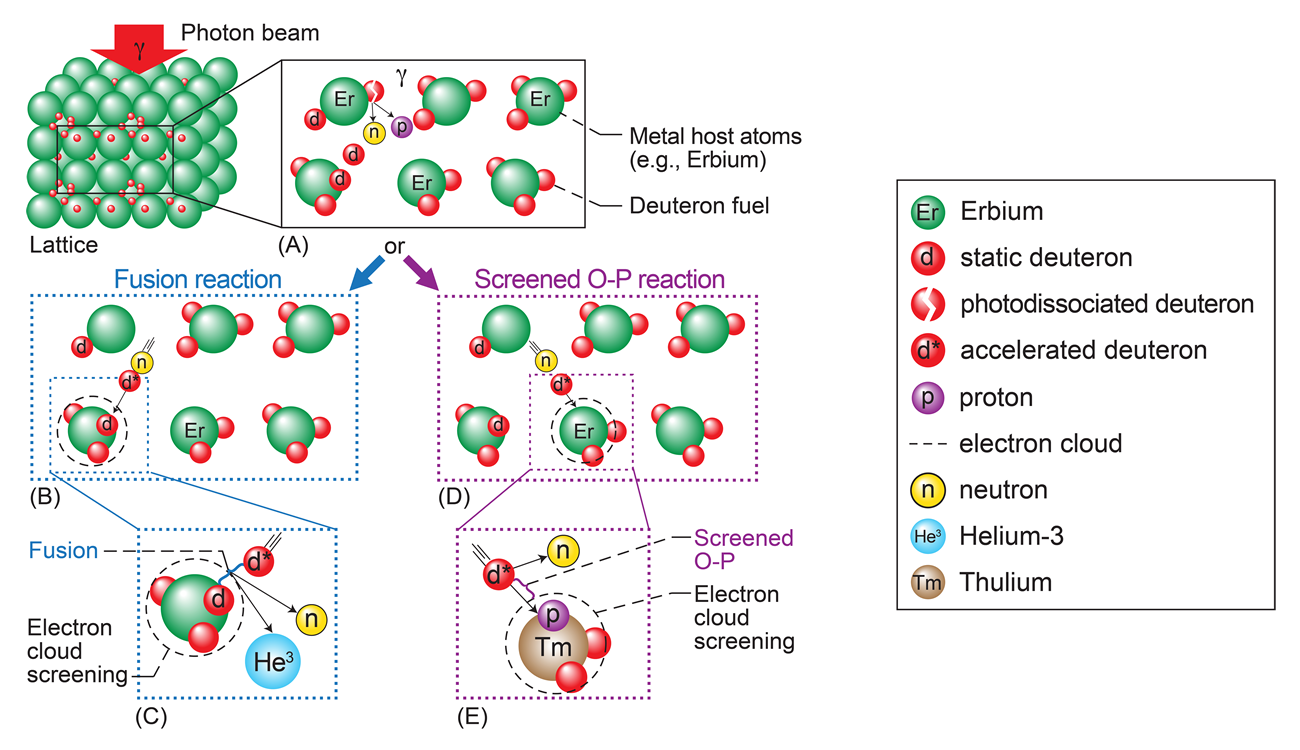 Illustration of the main elements of the lattice confinement fusion process observed