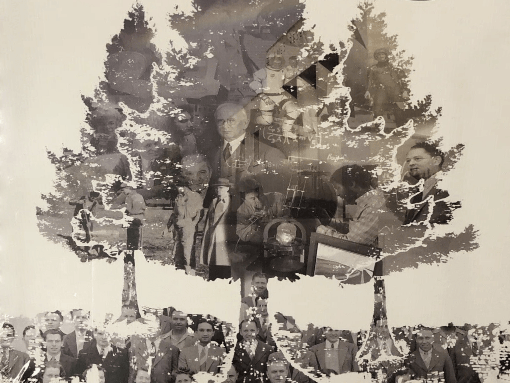 Silhouettes of three trees, each filled with photographic imagery from NASA Ames.