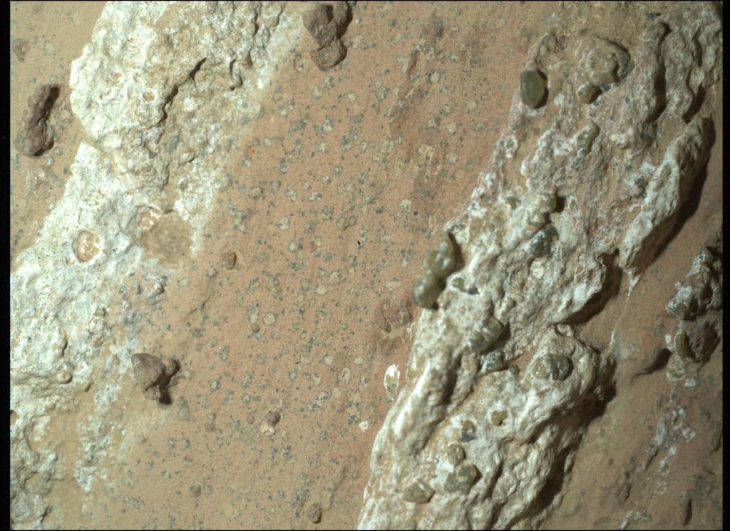 Picture of the red-brown Mars terrain, which is spotted with tan and dark gray "leopard spots," as well as white and tan rocks. 