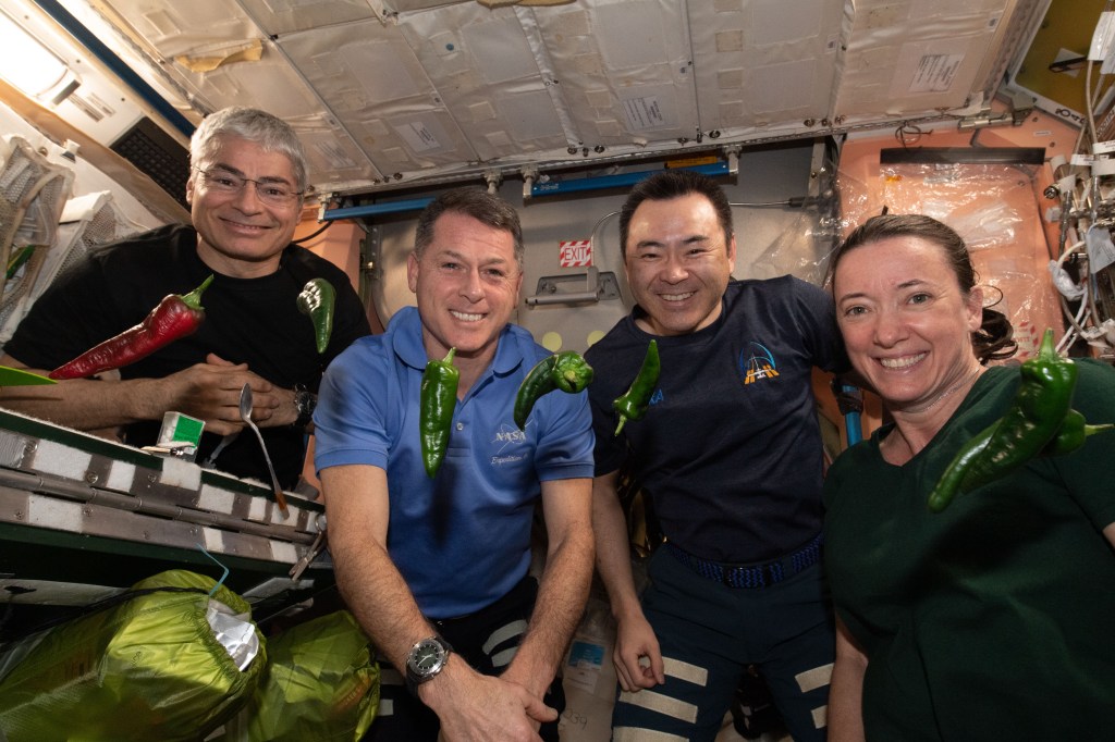 NASA astronauts Mark Vande Hei and Shane Kimbrough, JAXA (Japan Aerospace Exploration) astronaut Aki Hoshide, and NASA astronaut Megan McArthur pose side-by-side on the space station. Red and green chile peppers are seen floating in the foreground. The crew members are smiling and looking at the camera.