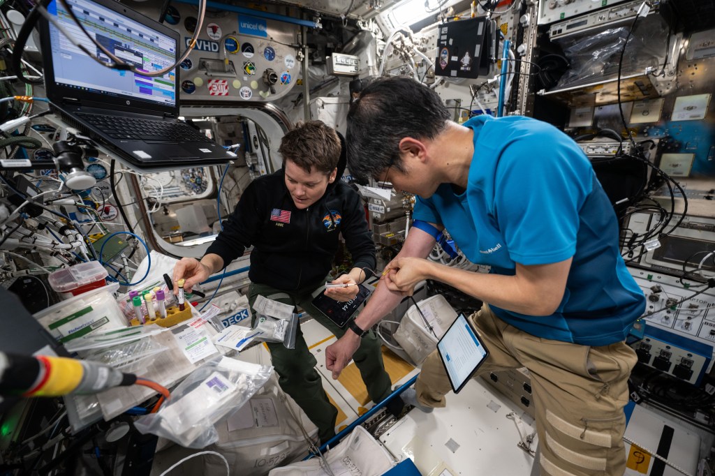 NASA astronaut Anne McClain and Japan Aerospace Exploration Agency (JAXA) astronaut Takuya Onishi are seen performing an experiment on the space station. Takuya is in the foreground on the right side of the image, and Anne is in the background on the left side of the image. Takuya is performing a blood draw on his right arm, and Anne is placing a vial of blood in a small tray with other vials.
