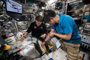 NASA astronaut Anne McClain and Japan Aerospace Exploration Agency (JAXA) astronaut Takuya Onishi are seen performing an experiment on the space station. Takuya is in the foreground on the right side of the image, and Anne is in the background on the left side of the image. Takuya is performing a blood draw on his right arm, and Anne is placing a vial of blood in a small tray with other vials.