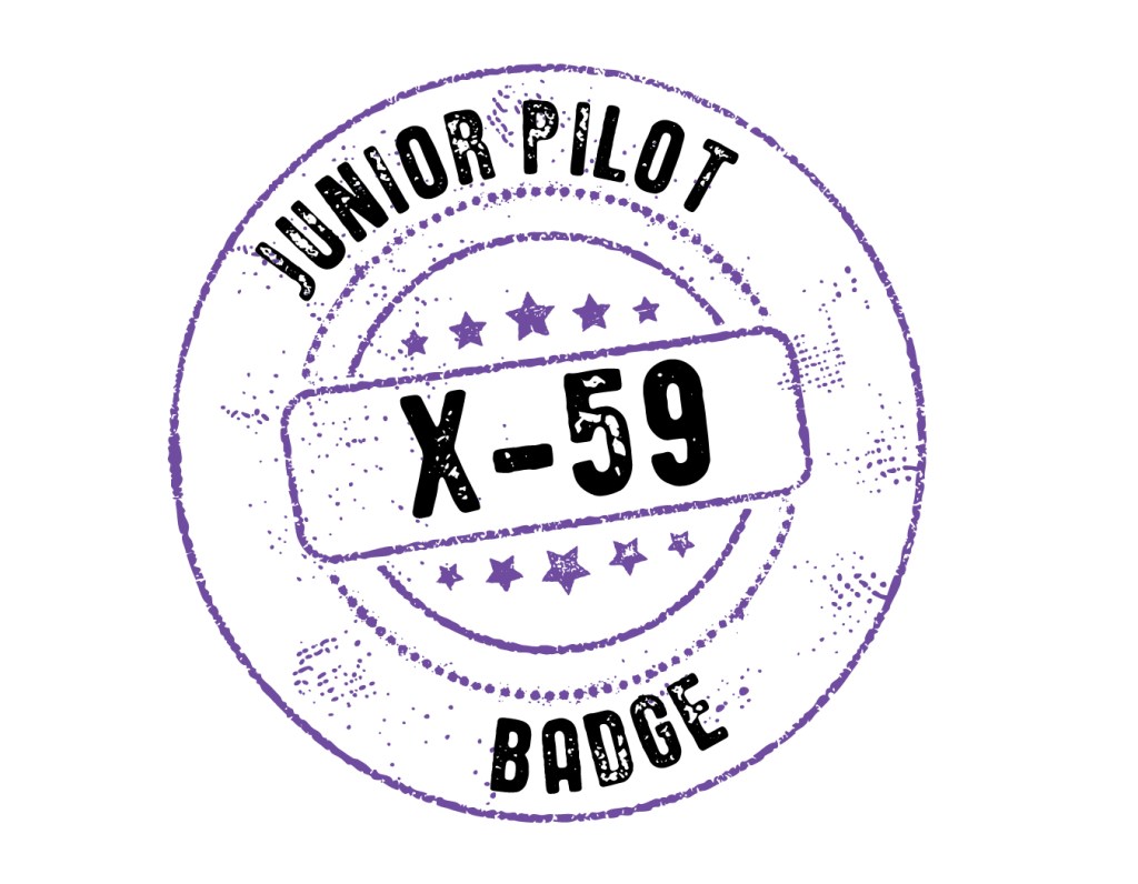 Jr. Pilot X-59 endorsement stamp