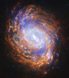 A gold and blue spiral galaxy swirls in the darkness of space. There is a bright spot of light at its center.