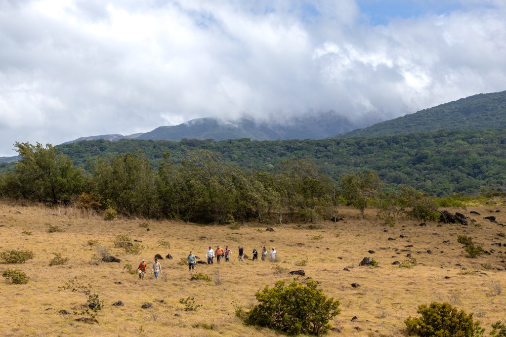 Ten people look like little dots as they walk through a field of tan grass, with a green forested mountain and cloudy blue skies in the background.