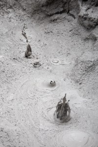 Four bubbles burst through gray mud.