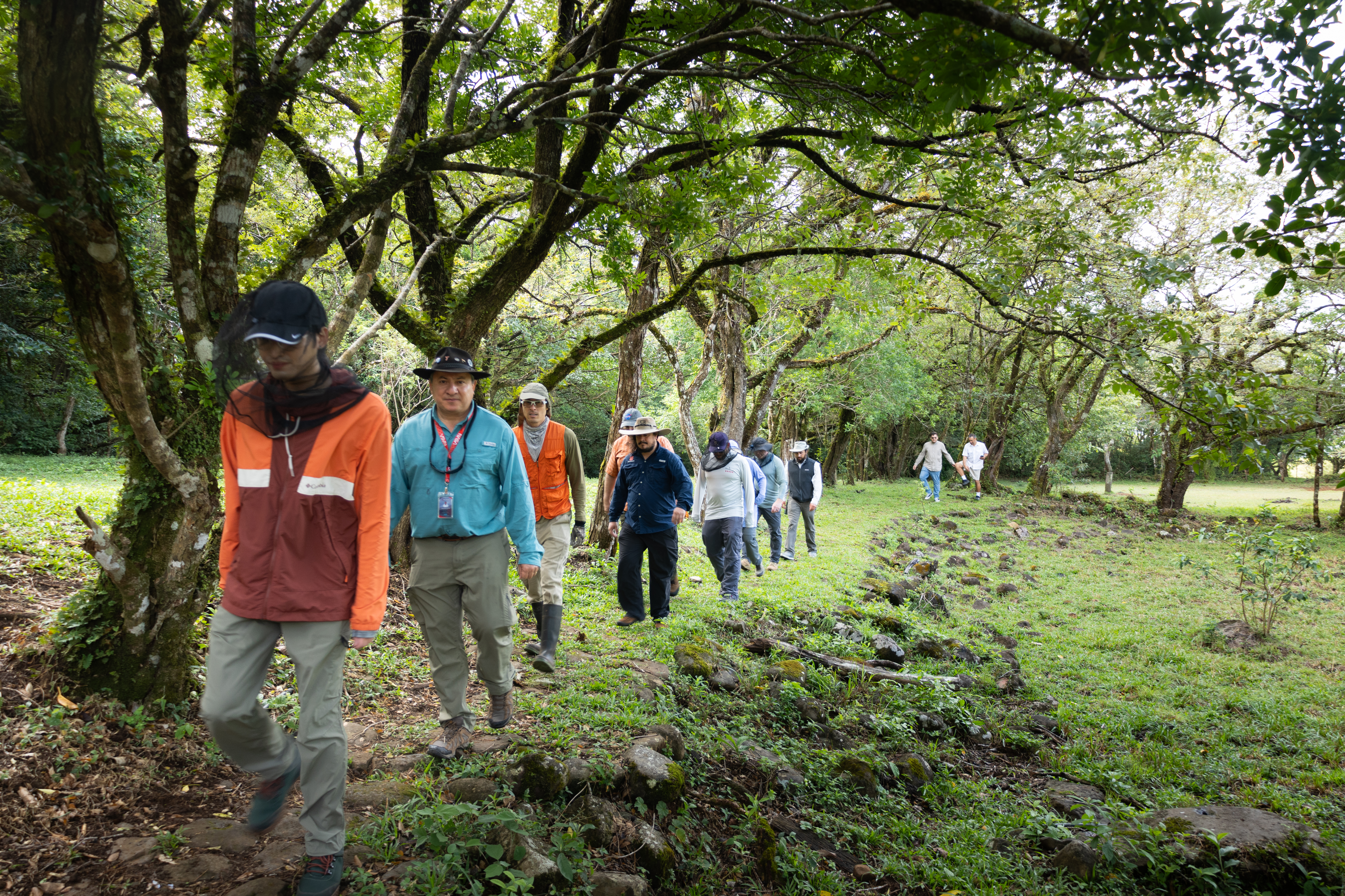 A line of people in outdoorsy clothing walks on a narrow pathway towards the camera. The ground is covered in green grass, and trees arch over the pathway from the left side of the frame.
