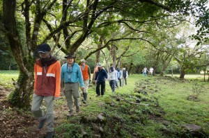 A line of people in outdoorsy clothing walks on a narrow pathway towards the camera. The ground is covered in green grass, and trees arch over the pathway from the left side of the frame.