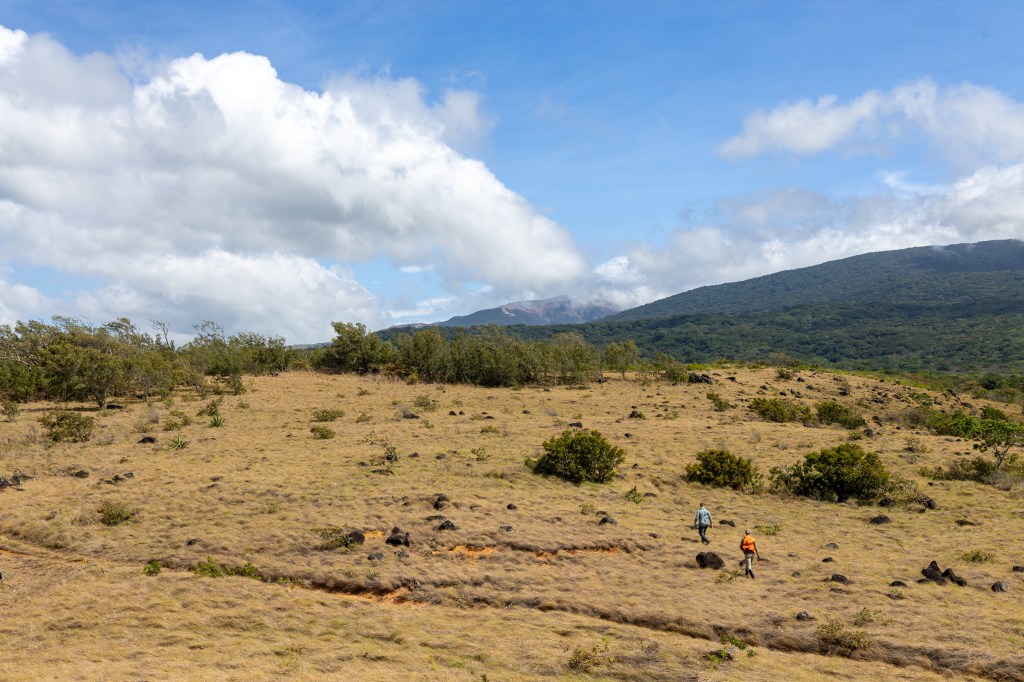 Two men, one in a blue longsleeve and the other in an orange long sleeve, look tiny in the distance as they walk up a hill through tan grass. In the distance is a green forested mountain and cloudy blue skies.