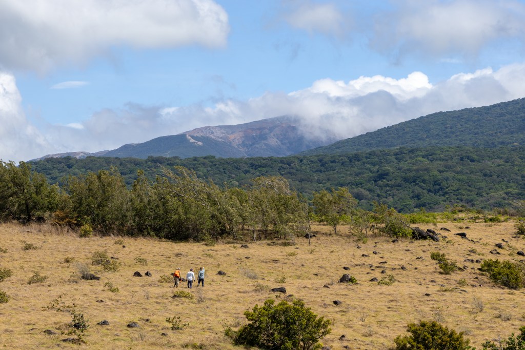 Three people, in (from left) an orange, white, and blue long sleeve, look tiny in the distance as they walk up a hill through tan grass. In the distance is a green forested mountain and cloudy blue skies.