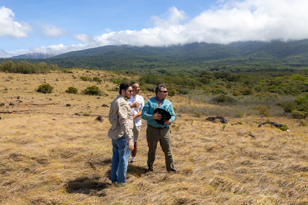 Three people, in (from left) a tan, white, and blue long sleeve, stand on top of a hill of tan grass, looking off to the right. In the distance is a green forested mountain and cloudy blue skies.