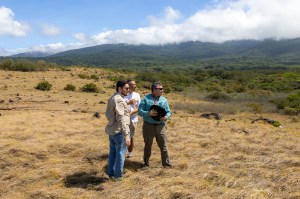 Three people, in (from left) a tan, white, and blue long sleeve, stand on top of a hill of tan grass, looking off to the right. In the distance is a green forested mountain and cloudy blue skies.