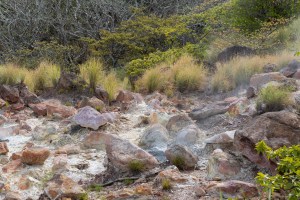 A bit of white haze rises from a collection of red and white rock. Around the rocks are tufts of green grass.