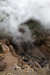 White steam swirls into the air from a hole in the ground.