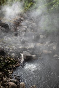 Steam rises from a bubbling pool at the bottom of a small stream.