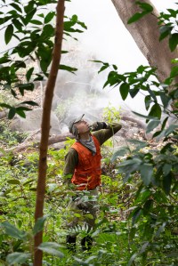 A man in an olive green long sleeve, bright orange vest, and gray hat and neck scarf looks up into the trees above him. Around him are green leafy trees, while clouds of white haze drift in the background.