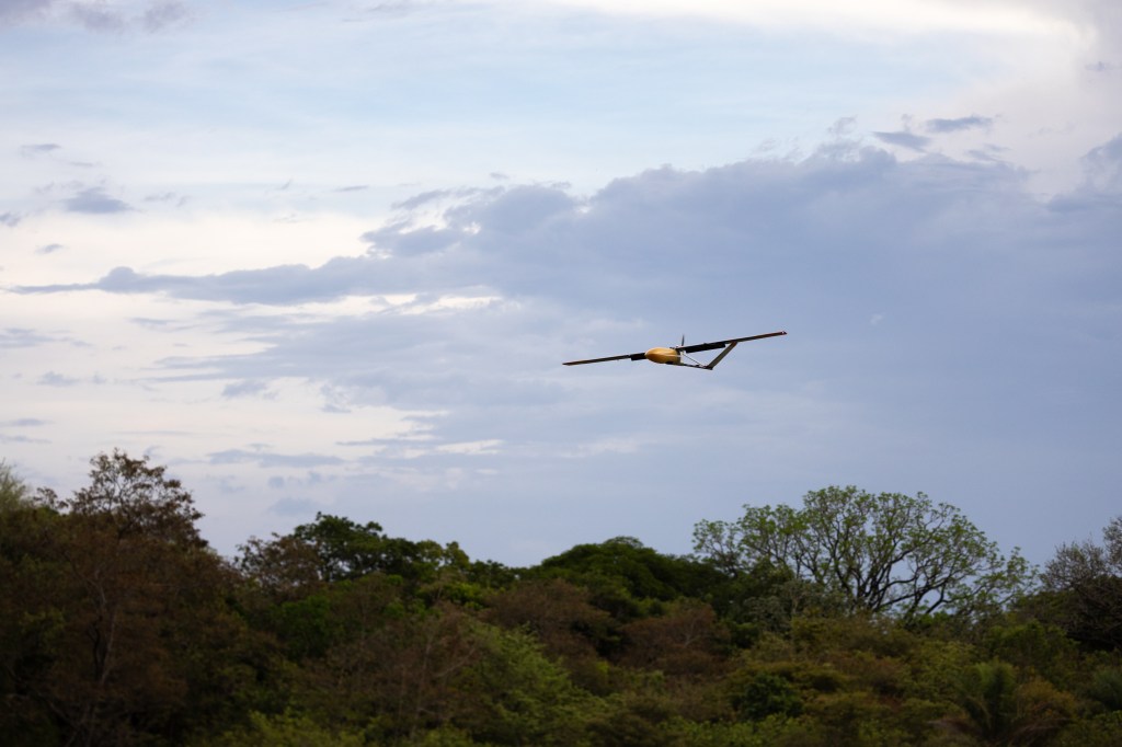 An gray uncrewed fixed-wing aircraft with a yellow nose cone flies towards the left of the frame against a cloudy sky, with the tops of trees in the lower third of the image.