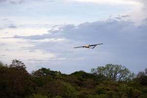 An gray uncrewed fixed-wing aircraft with a yellow nose cone flies towards the left of the frame against a cloudy sky, with the tops of trees in the lower third of the image.