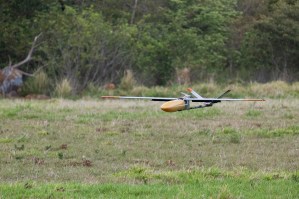 An gray uncrewed fixed-wing aircraft with a yellow nose cone flies towards the left of the frame against bright green foliage, only a few feet off of green grass.