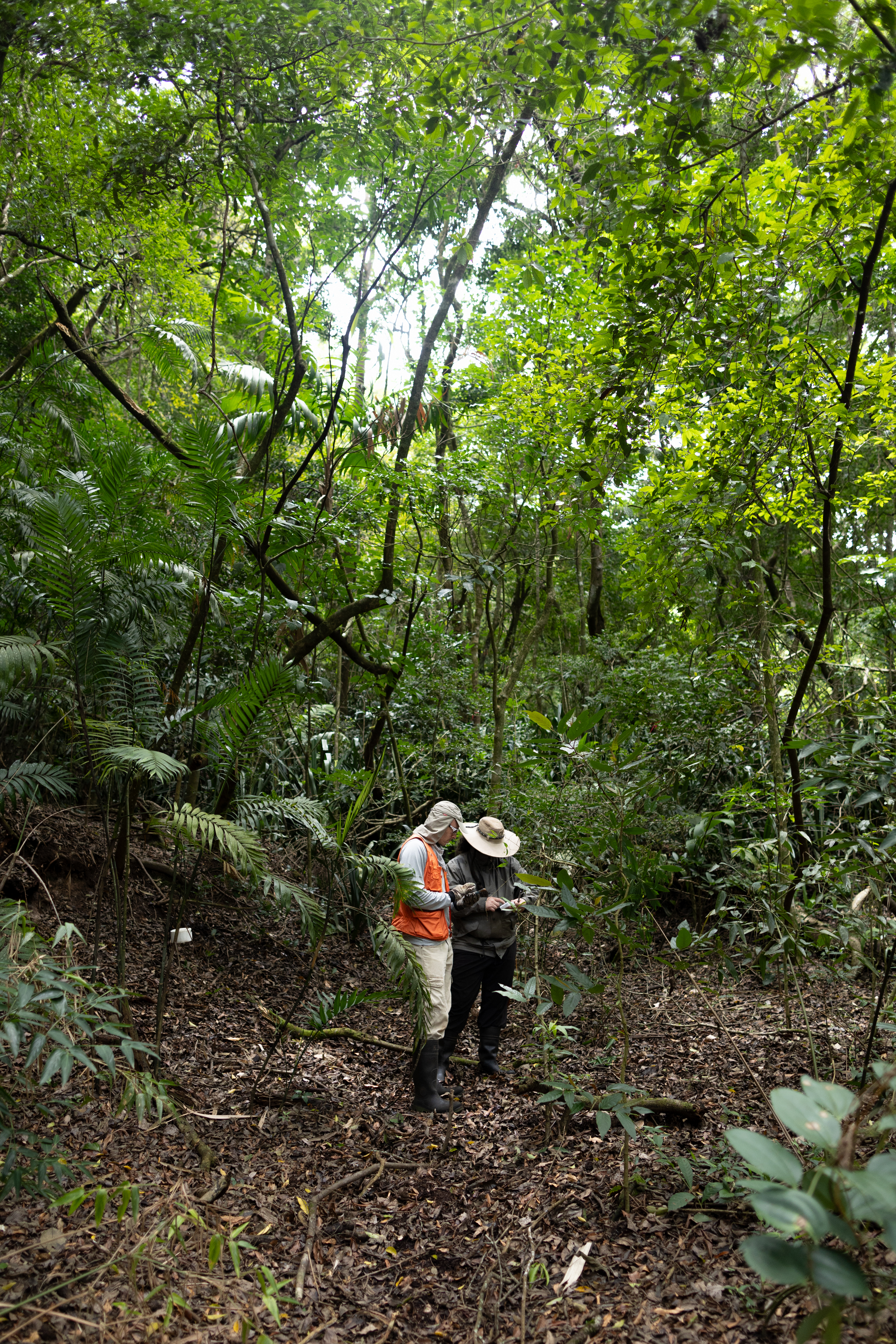 Two men in outdoorsy clothing stand in a bright green forest, bent over a small device.