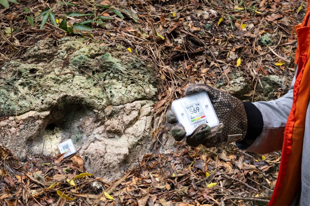 A hand wearing a glove holds a small white box with a digital display that reads 569. In the background is a hillside covered in leaves, with a small black hole in the rock. At the base of the hole is an identical white box reading 5198.
