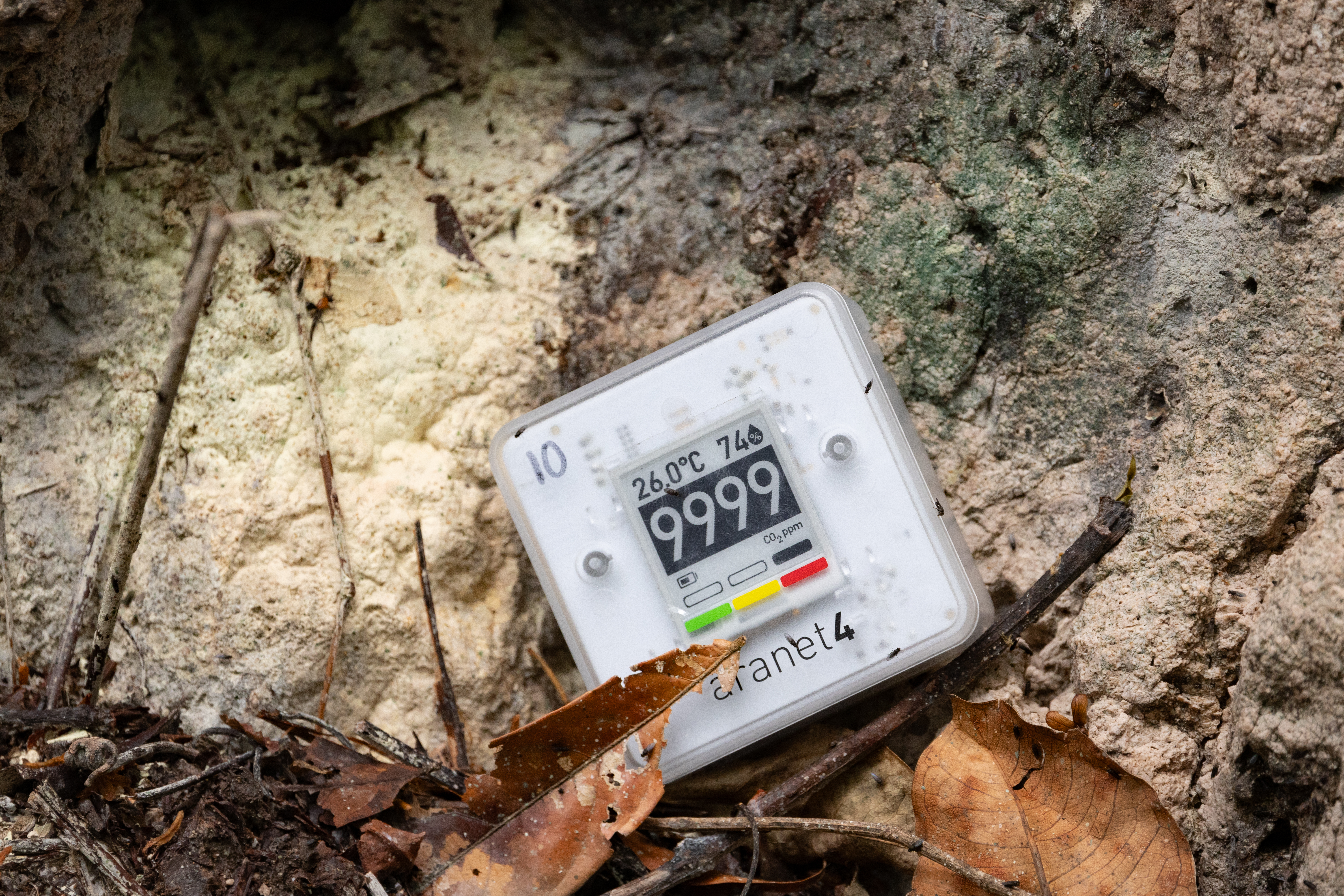 A small white box with a digital screen showing the number 9999 leans against a tan rock.