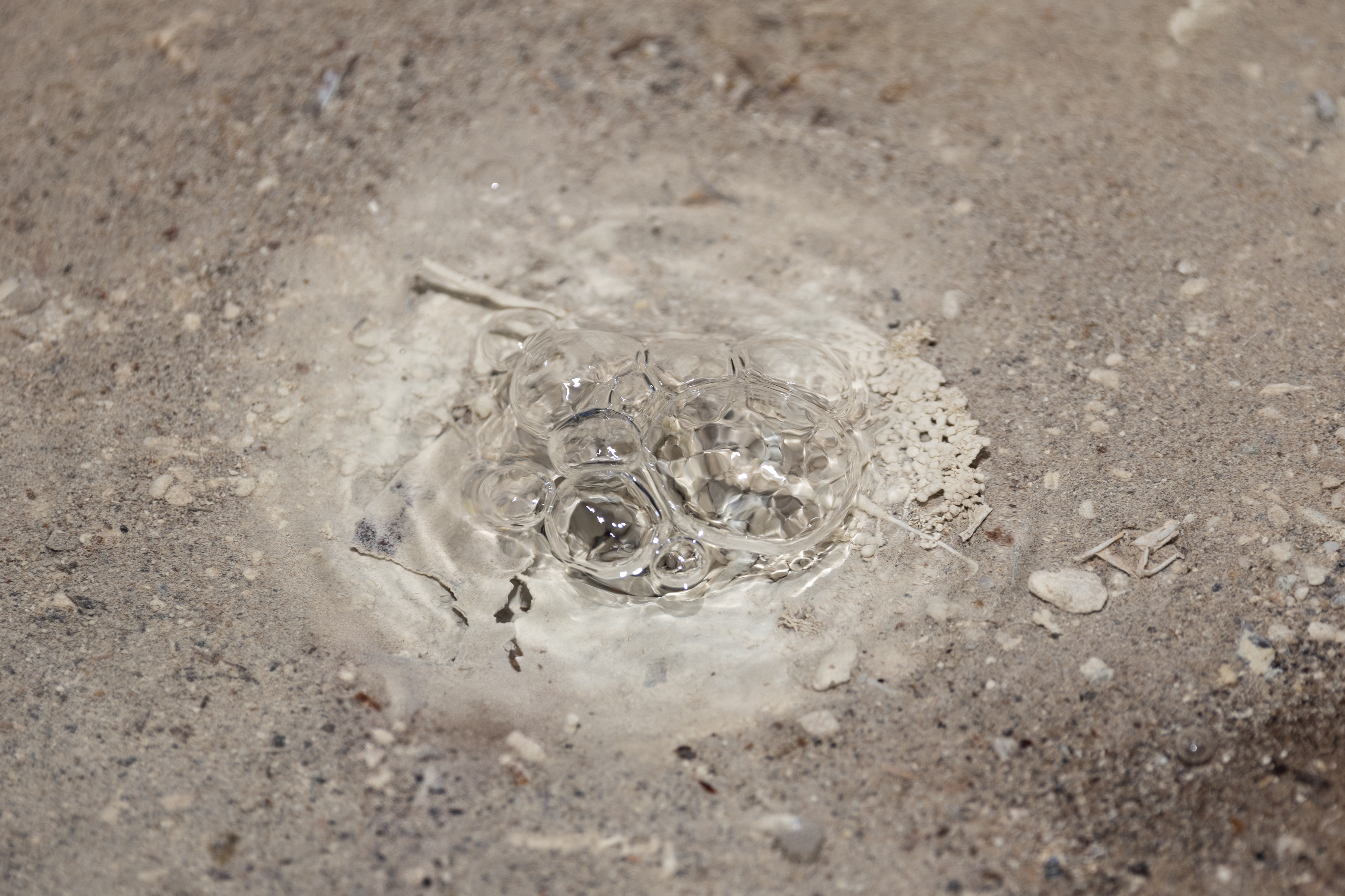 Bubbles erupt through clear water, with a tan sandy bottom.