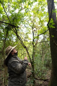 A man with long black hair and a black beard, wearing a khaki green jacket and large tan hat, looks up at a green forest and pulls a round white box towards him on a black string.