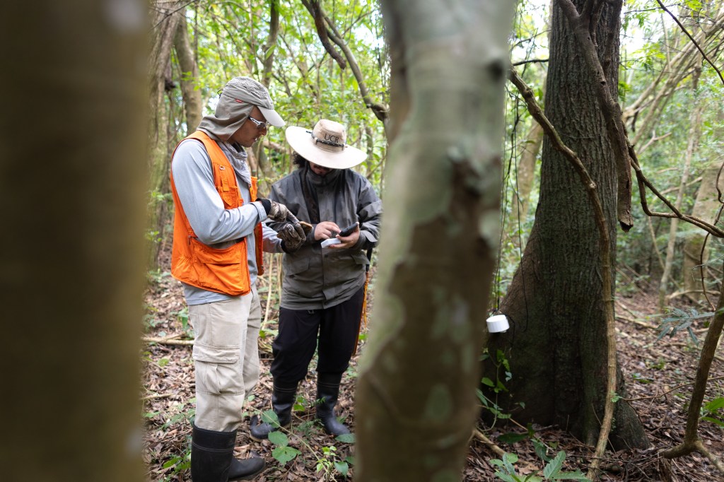 Two men in hats, boots, and hiking clothes stand together in a forest, looking down at a phone. In the background, a round white box hangs from a tree on black string.