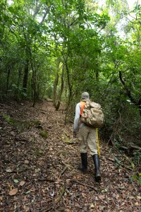 A man in hiking clothes and black booths hikes up a leaf-covered path away from the camera, into a green forest.