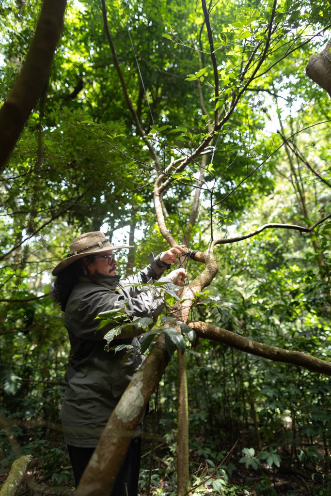 A man with long black hair and a black beard, wearing a khaki green jacket and large tan hat and standing in a bright green forest, works on a round white box on a black string.