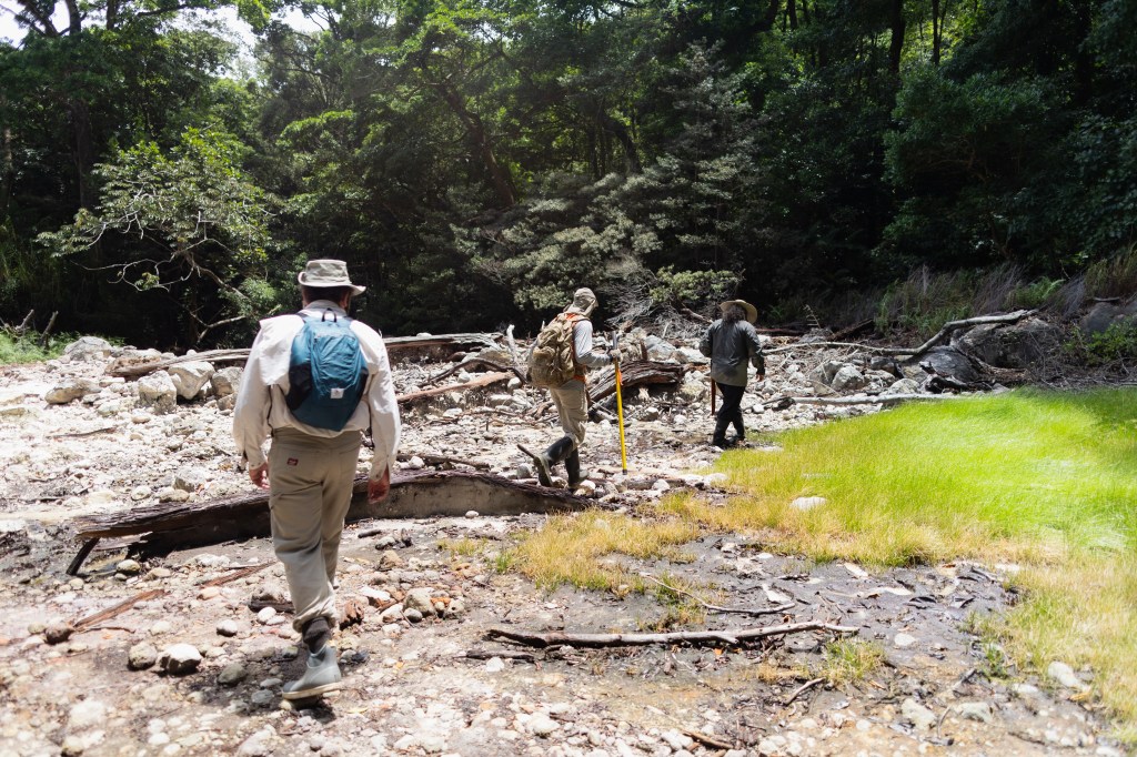 Three men in hiking attire walk in a line away from the camera across a forest clearing of tan rocks, logs, and bright green grass.