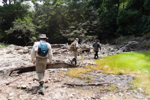 Three men in hiking attire walk in a line away from the camera across a forest clearing of tan rocks, logs, and bright green grass.