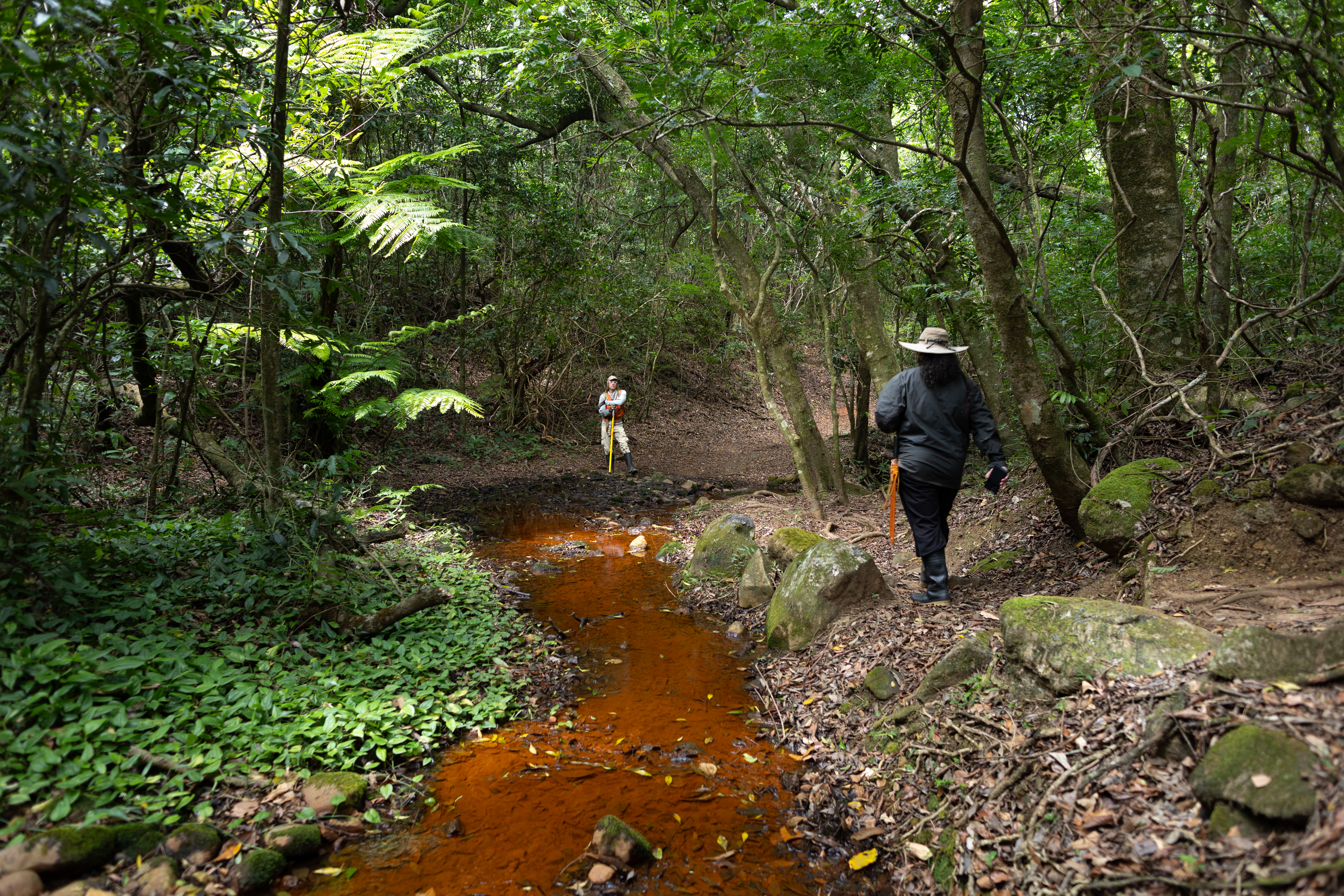 A man in hiking attire with a yellow pole stands in the distance, under a canopy of green trees. Between the man and the camera is a bright reddish-orange shallow stream. To the right of the stream, a man in a khaki green jacket and tan hat walks along a path with his back to the camera.