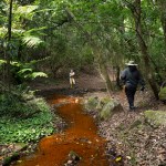 A man in hiking attire with a yellow pole stands in the distance, under a canopy of green trees. Between the man and the camera is a bright reddish-orange shallow stream. To the right of the stream, a man in a khaki green jacket and tan hat walks along a path with his back to the camera.
