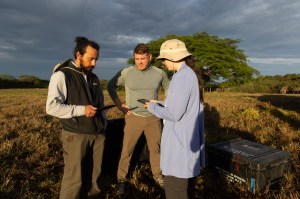 Three people in hiking clothes stand together in a field of tan grass, looking down at tablets. Behind them is a dark cloudy sky.
