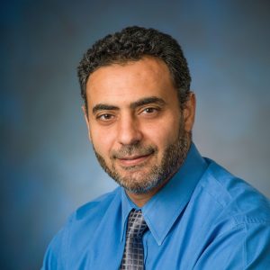 The headshot image of Ahmed El-Rasheedy