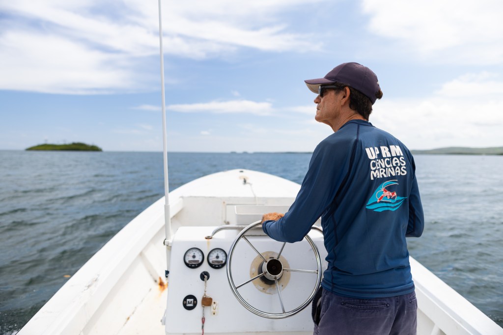 A man in a navy long sleeve shirt and baseball cap stands in a boat with his back to the camera, steering a small white boat into a bay of water. The sky in the background is blue, spotted with white clouds.