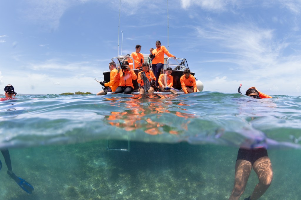 A split shot shows about a third of the frame below water, two-thirds above water. Above water, a group of students in neon orange long sleeve shirts sits on the edge of a boat putting on fins and snorkel masks. Two students are visible in the foreground already in the water. In the background is a blue sky with wispy white clouds.