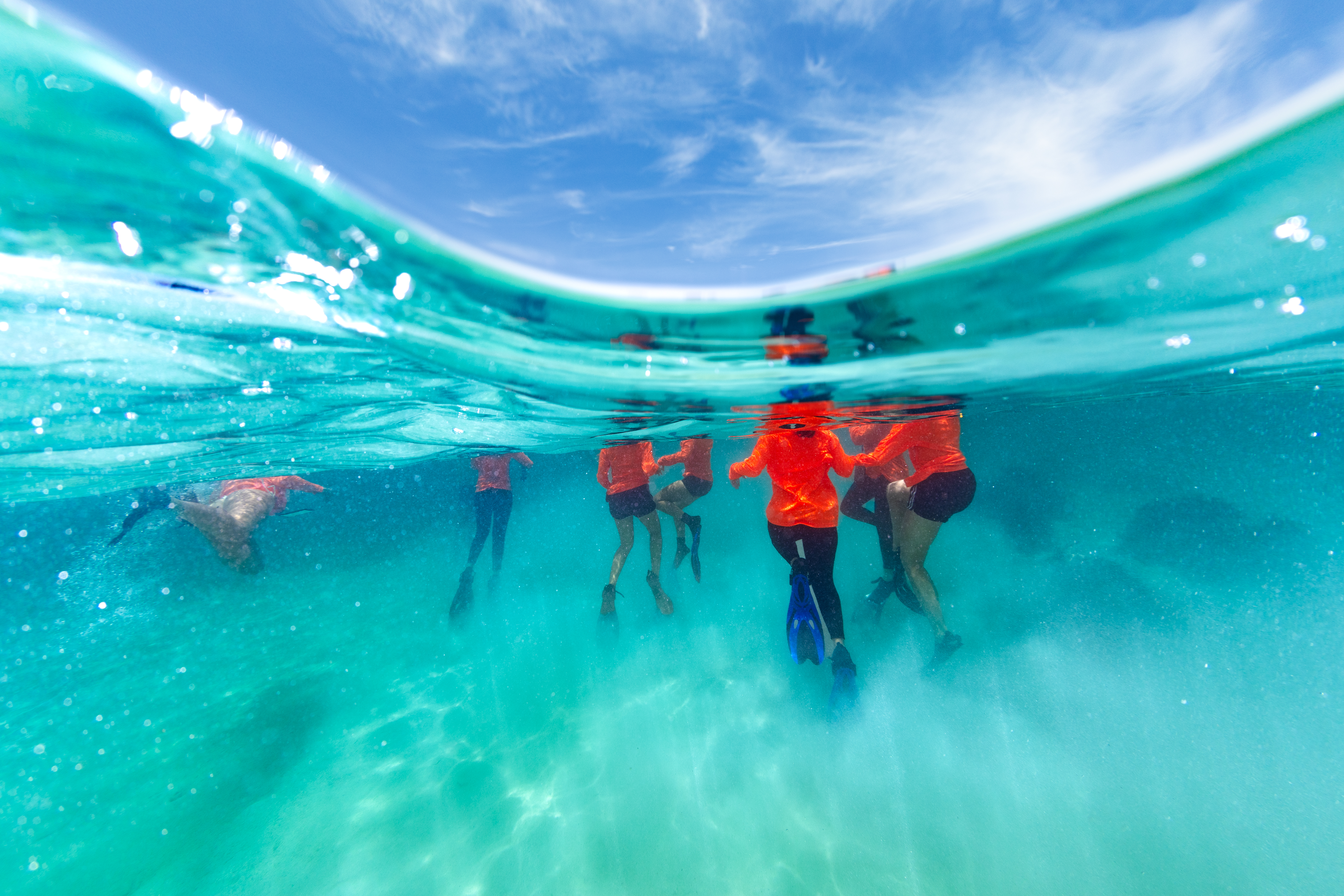 This shot taken just under the surface of the water shows bright teal water, and a group of students treading water in neon orange long sleeve shirts and snorkel fins.