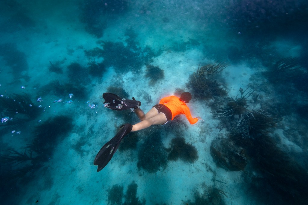 In this underwater shot, a student in a neon orange shirt, black shorts, and black fins dives down to the teal blue ocean floor dotted in dark brown clumps of coral and grass.