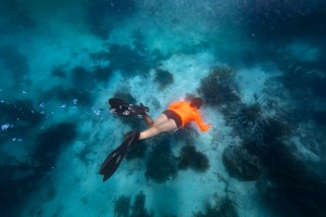In this underwater shot, a student in a neon orange shirt, black shorts, and black fins dives down to the teal blue ocean floor dotted in dark brown clumps of coral and grass.
