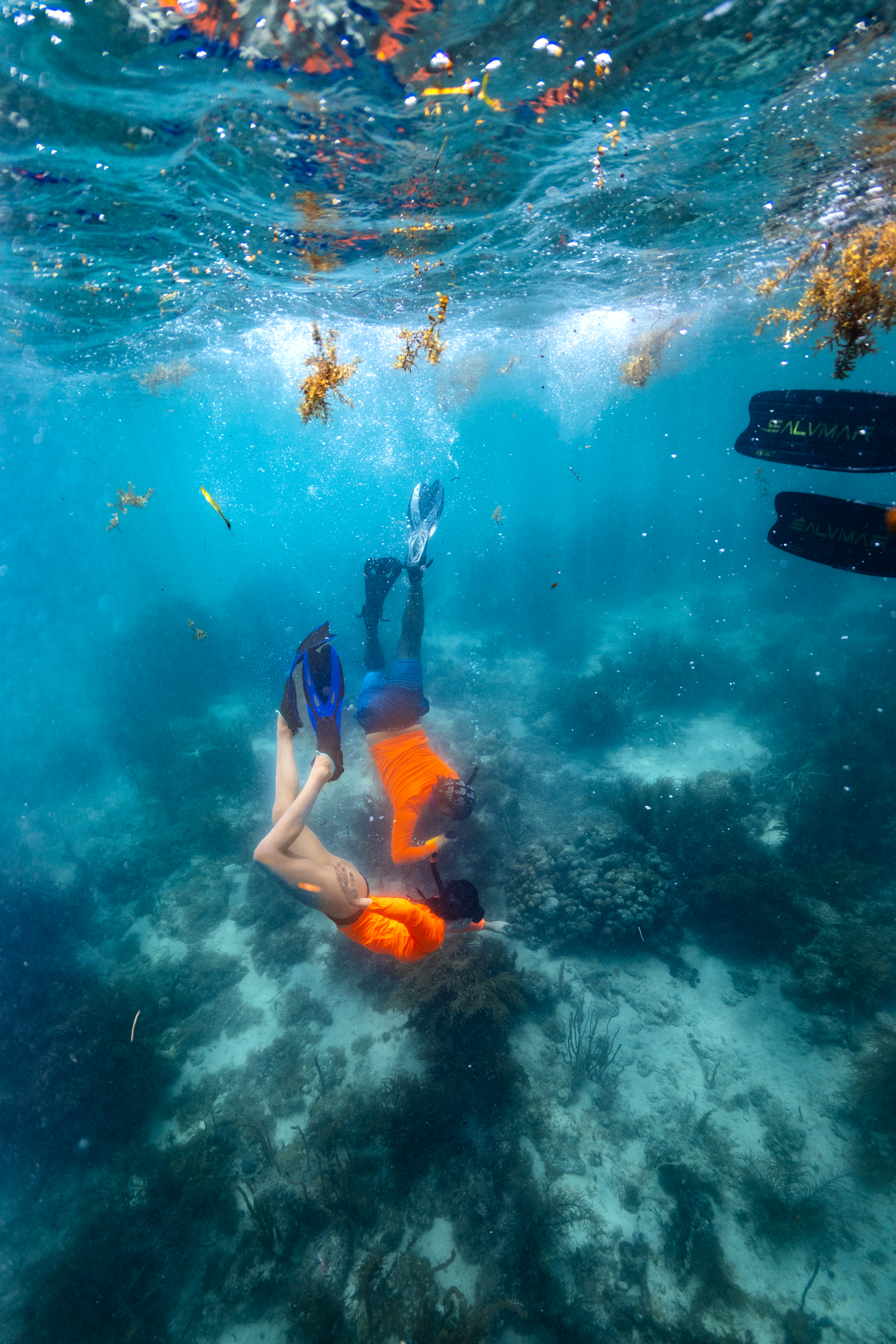 In this underwater shot, two students in neon orange long sleeve shirts and black fins dive down to the teal blue ocean floor dotted in dark brown clumps of coral and grass.