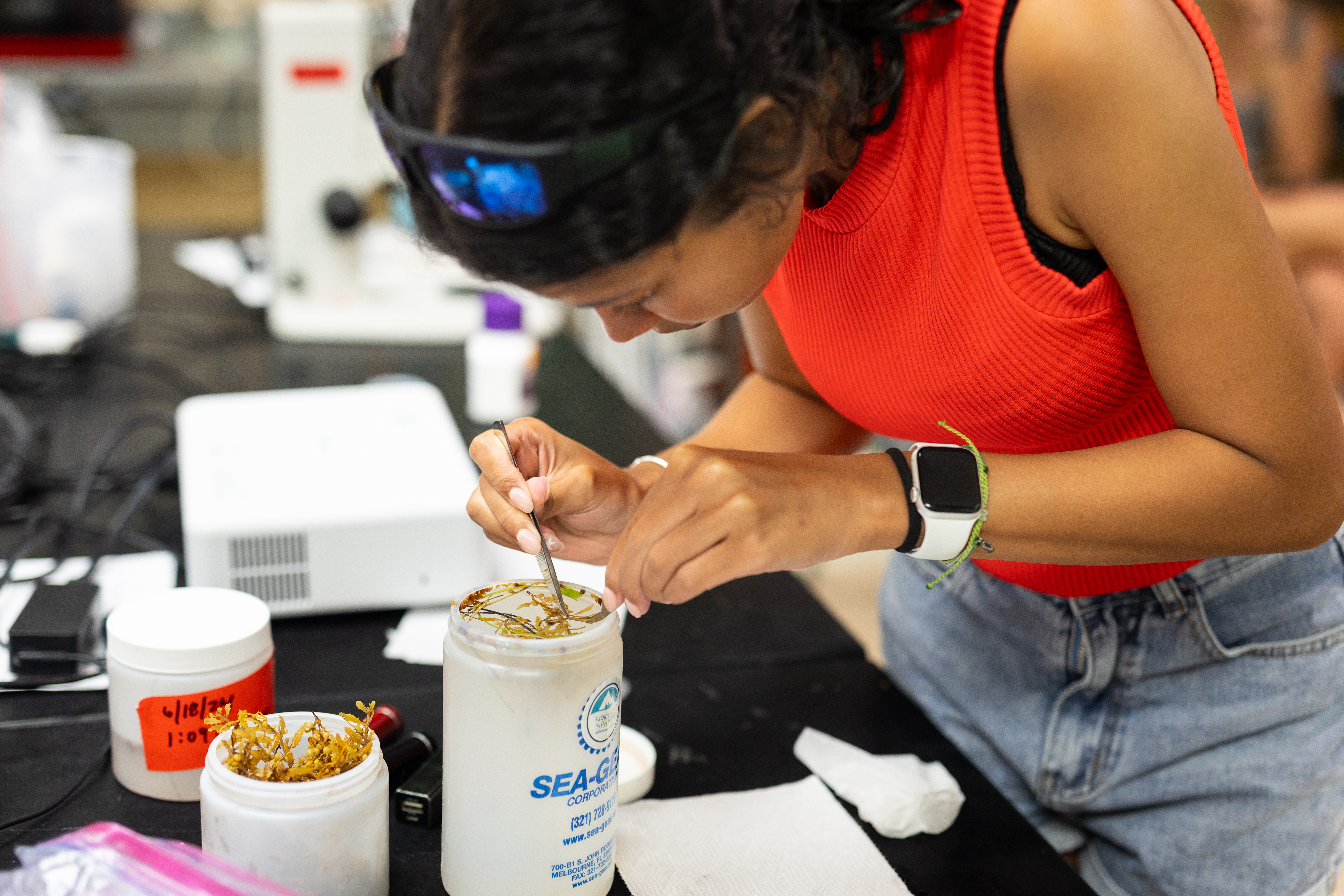 A woman in a red tank top and jean shorts bends over a lab table, using tweezers to pull a small sample of algae out of a white cylinder full of liquid.