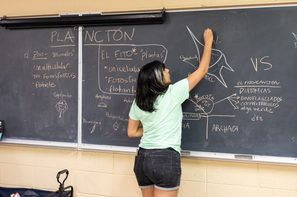 A woman with shoulder-length black hair, a teal t-shirt, and jean shorts stands with her back to the camera and draws a diagram on a black chalkboard.
