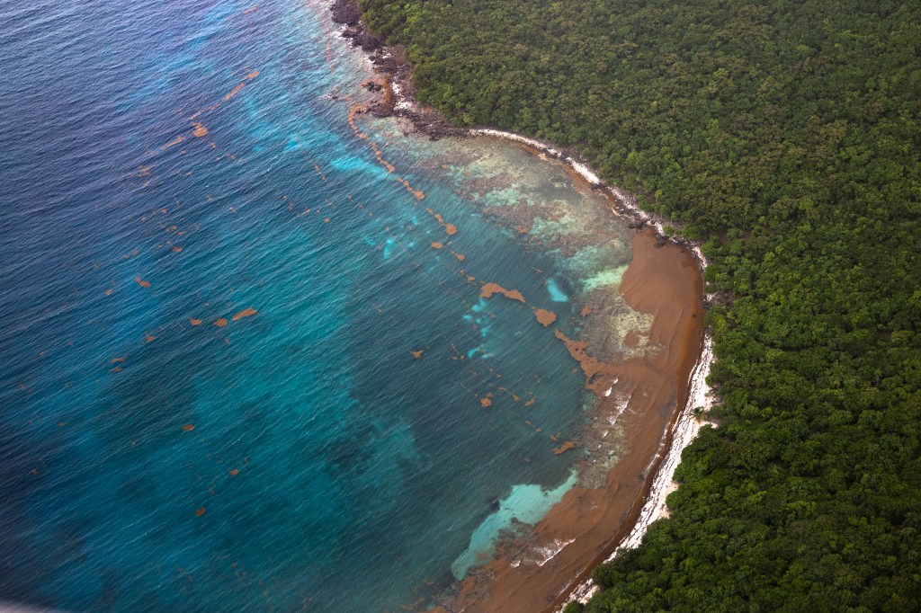 A photo from an aircraft looks down at the variegated blues and teals, of the ocean on the left as it meets a curved stretch of dark green forested coastline on the right. Where the water meets the coast is a stretch of brown.