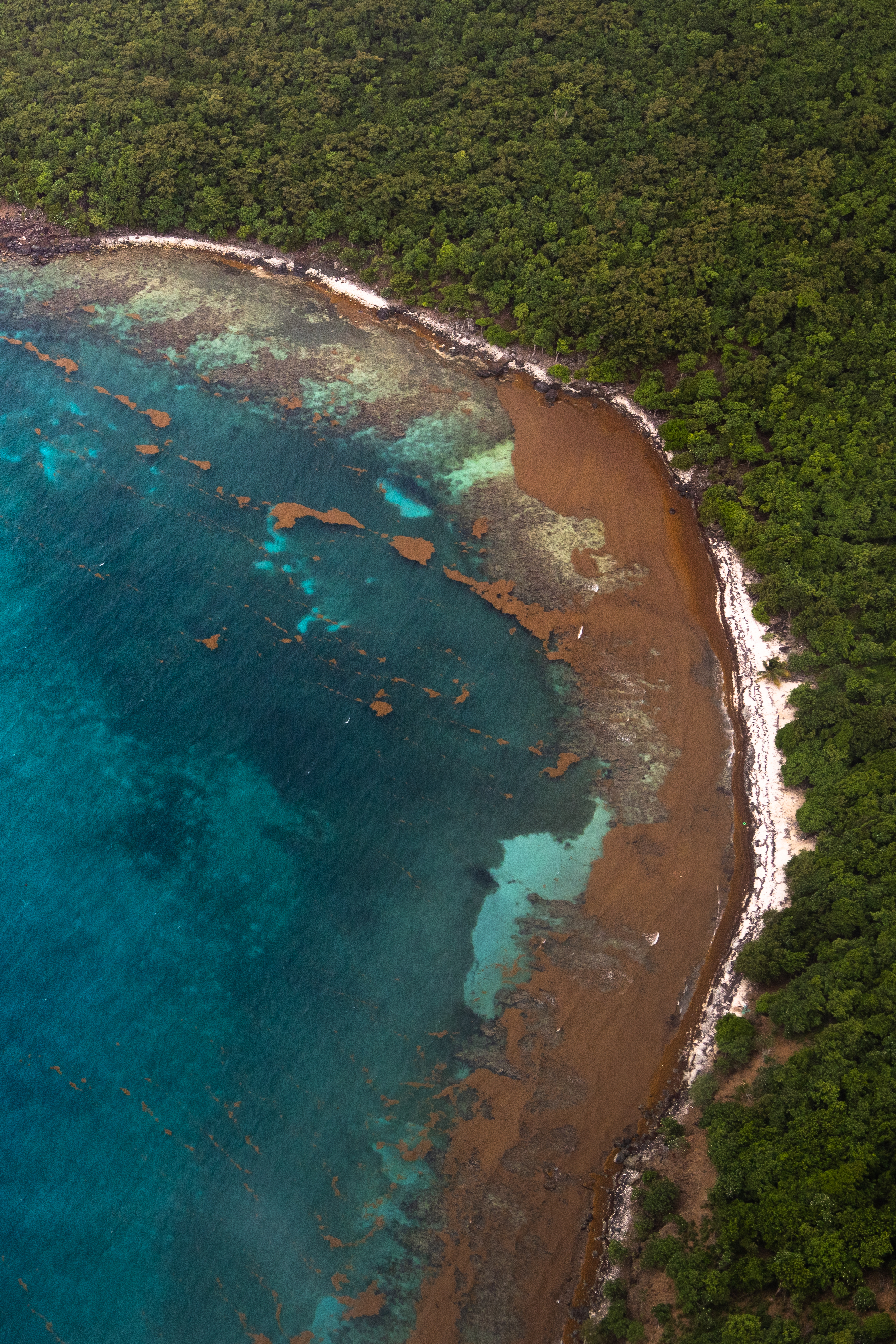 A photo from an aircraft looks down at the variegated blues and teals, of the ocean on the left as it meets a curved stretch of dark green forested coastline on the right. Where the water meets the coast is a stretch of brown.